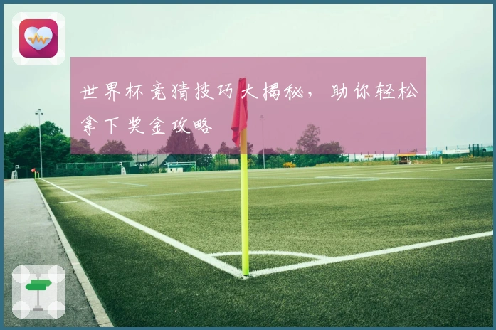 世界杯竞猜技巧大揭秘，助你轻松拿下奖金攻略
