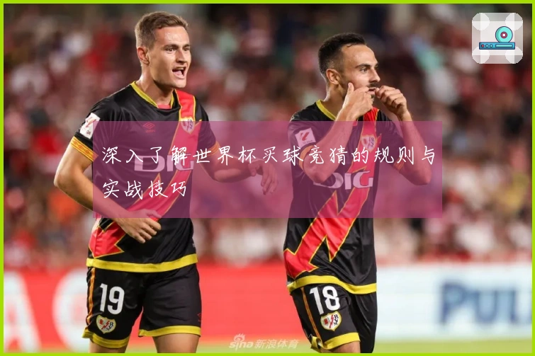 深入了解世界杯买球竞猜的规则与实战技巧