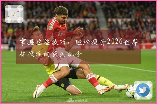 掌握这些技巧，轻松提升2026世界杯投注的获利机会