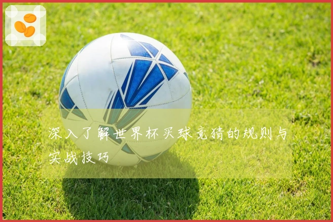 深入了解世界杯买球竞猜的规则与实战技巧