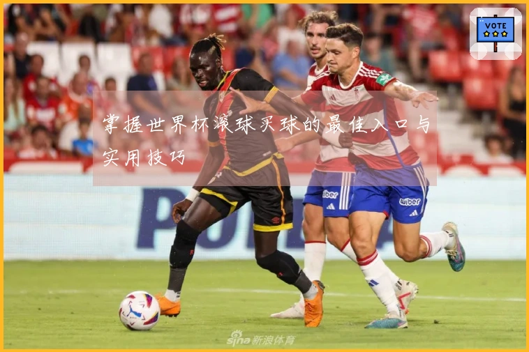 掌握世界杯滚球买球的最佳入口与实用技巧