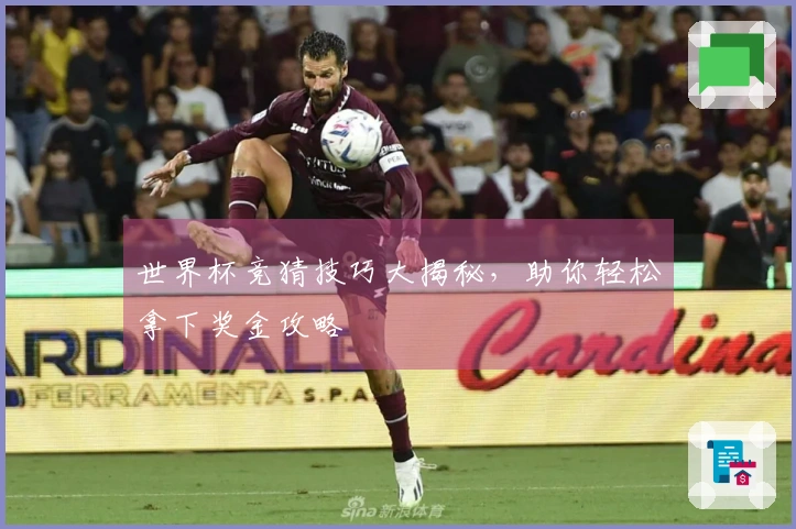 世界杯竞猜技巧大揭秘，助你轻松拿下奖金攻略