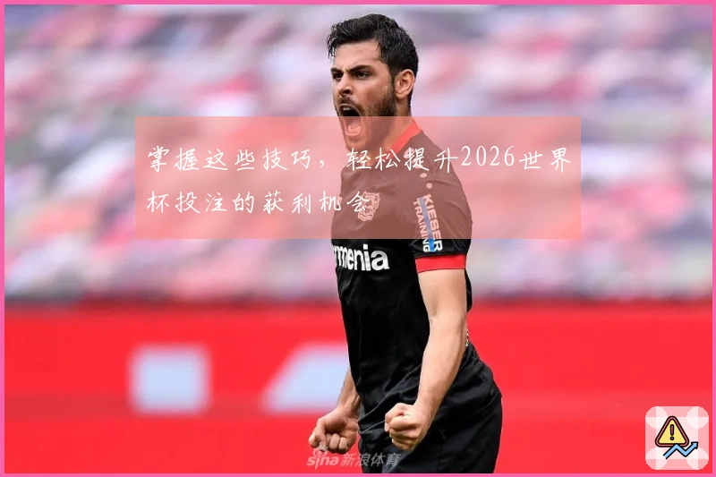 掌握这些技巧，轻松提升2026世界杯投注的获利机会