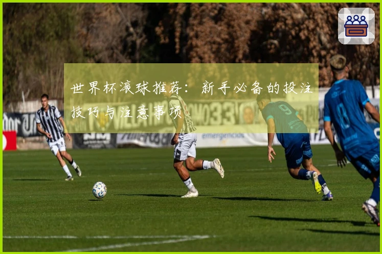 世界杯滚球推荐：新手必备的投注技巧与注意事项