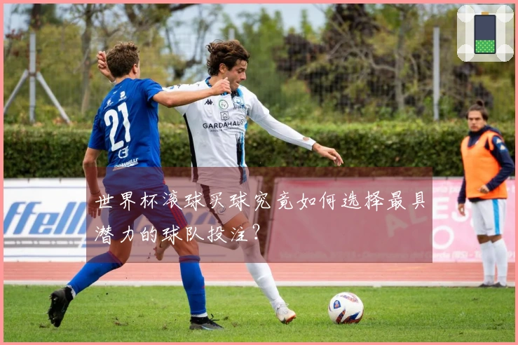 世界杯滚球买球究竟如何选择最具潜力的球队投注？