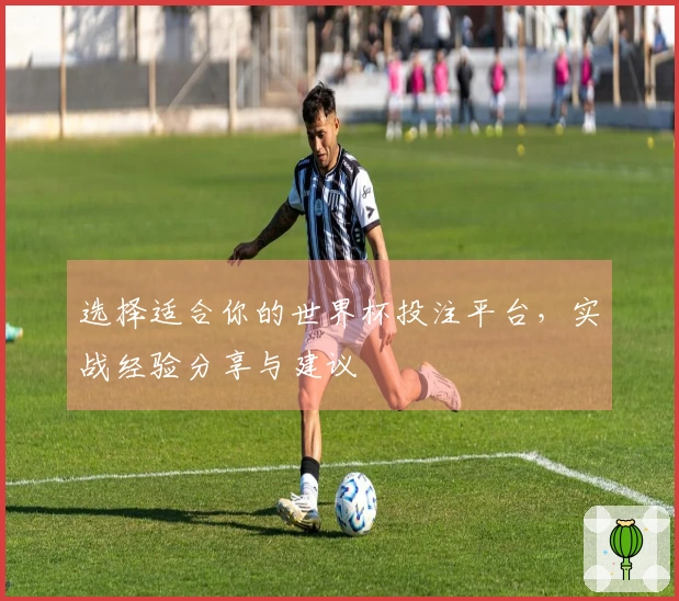 选择适合你的世界杯投注平台，实战经验分享与建议