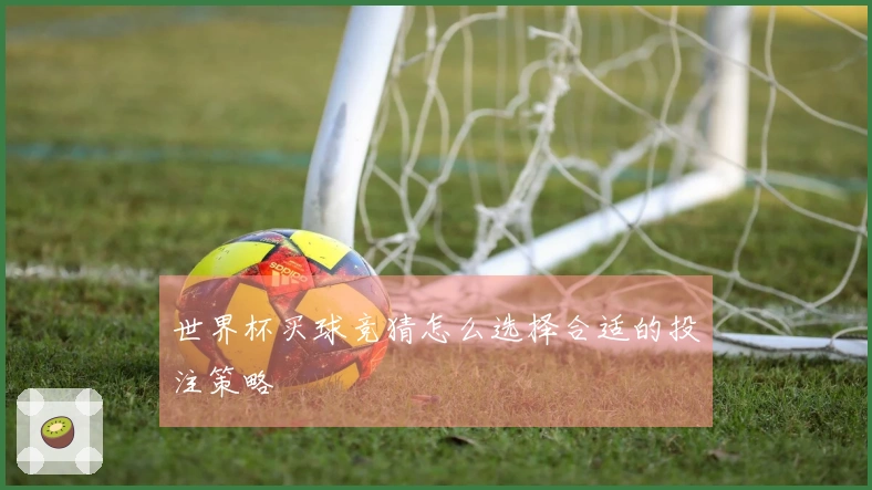 世界杯买球竞猜怎么选择合适的投注策略
