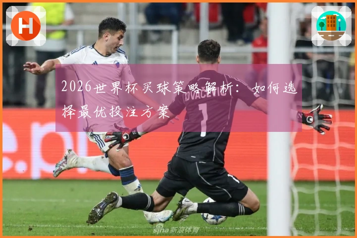 2026世界杯买球策略解析：如何选择最优投注方案
