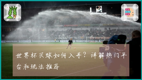 世界杯买球如何入手？详解热门平台和玩法推荐